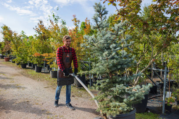 Best Tree Preservation Services  in Leisure Knoll, NJ