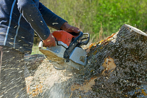 Soil Testing and Treatment in Leisure Knoll, NJ