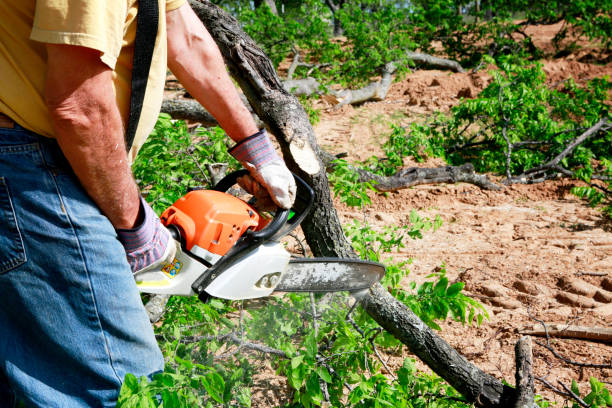 Best Emergency Tree Removal  in Leisure Knoll, NJ